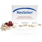 NEOSELEN complément anti-oxydant boite 90 gélules NEOSELEN complément anti-oxydant boite 90 gélules