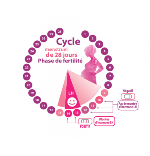 CORE TESTS test d'ovulation boite 5