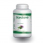 GPH DIFFUSION Bardane 250 mg | 200 gélules