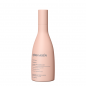 BJORN AXEN OFFRE ANTI FRIZZ SHAMPOOING 250ML