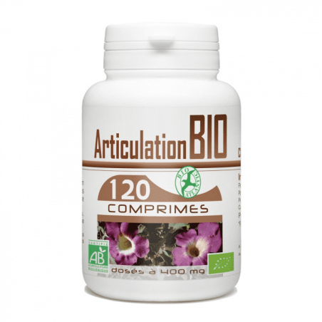 GPH DIFFUSION Articulation 400 mg | 120 comprimés