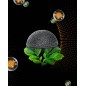 INNOVATOUCH CHARBON éponge konjac INNOVATOUCH CHARBON éponge konjac