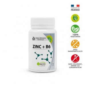 MGD zinc + B6 boite 60 gélules