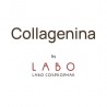 COLLAGENINA
