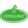 CIPOLLINO